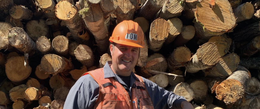 How to Honor Loggers Day: Respectful Observances, Do’s and Don’ts